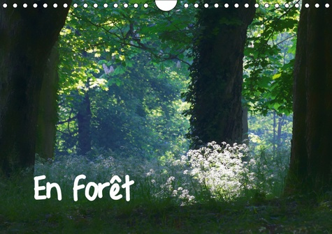 Emprunter EN FORET (CALENDRIER MURAL 2019 DIN A4 HORIZONTAL) - AMBIANCES FORESTIERES (CALENDRIER MENSUEL, 14 P livre