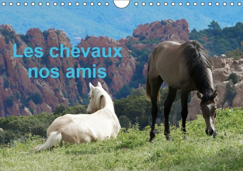 Emprunter LES CHEVAUX NOS AMIS (CALENDRIER MURAL 2019 DIN A4 HORIZONTAL) - UNE SERIE DE PHOTOS DE NOS AMIS LES livre