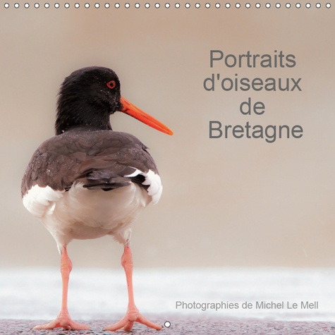 Emprunter PORTRAITS D'OISEAUX DE BRETAGNE (CALENDRIER MURAL 2019 300 * 300 MM SQUARE) - 12 PHOTOGRAPHIES DE PR livre