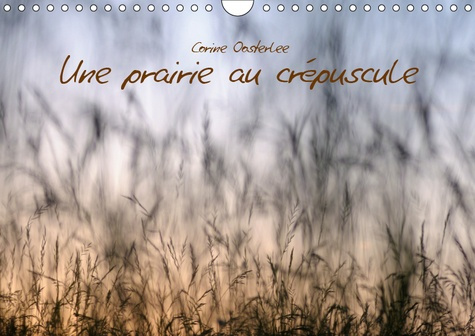 Emprunter UNE PRAIRIE AU CREPUSCULE (CALENDRIER MURAL 2019 DIN A4 HORIZONTAL) - BEAUTE DES GRAMINEES (CALENDRI livre