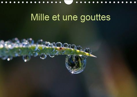 Emprunter MILLE ET UNE GOUTTES (CALENDRIER MURAL 2019 DIN A4 HORIZONTAL) - PHOTOS DE GOUTTES D'EAU (CALENDRIER livre