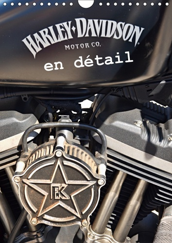 Emprunter HARLEY DAVIDSON EN DETAIL (CALENDRIER MURAL 2019 DIN A4 VERTICAL) - LES PLUS BELLES PHOTOS DE DETAIL livre