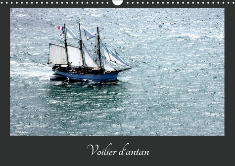 Emprunter VOILIERS D'ANTAN (CALENDRIER MURAL 2019 DIN A3 HORIZONTAL) - PHOTOS AERIENNES D'ANCIENS VOILIERS (CA livre