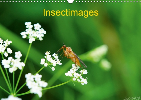 Emprunter INSECTIMAGES (CALENDRIER MURAL 2019 DIN A3 HORIZONTAL) - PHOTOGRAPHIES D'INSECTES (CALENDRIER MENSUE livre