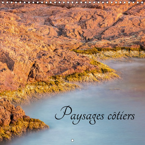 Emprunter PAYSAGES COTIERS (CALENDRIER MURAL 2019 300 * 300 MM SQUARE) - AVIS DE TEMPETE SUR LES COTES DU SUD livre