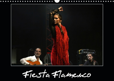 Emprunter FIESTA FLAMENCO (CALENDRIER MURAL 2019 DIN A3 HORIZONTAL) - SPECTACLE ESTIVAL A CANNES %3B LE FLAMENCO livre