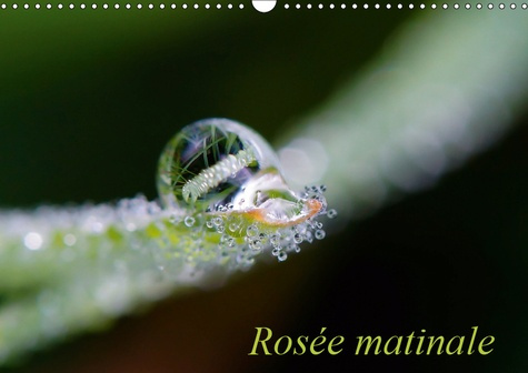 Emprunter ROSEE MATINALE (CALENDRIER MURAL 2019 DIN A3 HORIZONTAL) - PHOTOGRAPHIE MATINALE (CALENDRIER MENSUEL livre