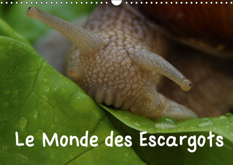 Emprunter LE MONDE DES ESCARGOTS (CALENDRIER MURAL 2019 DIN A3 HORIZONTAL) - ESCARGOTS DANS NOTRE PAYSAGE (CAL livre