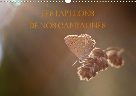 Emprunter LES PAPILLONS DE NOS CAMPAGNES (CALENDRIER MURAL 2019 DIN A3 HORIZONTAL) - CALENDRIER DES PAPILLONS livre