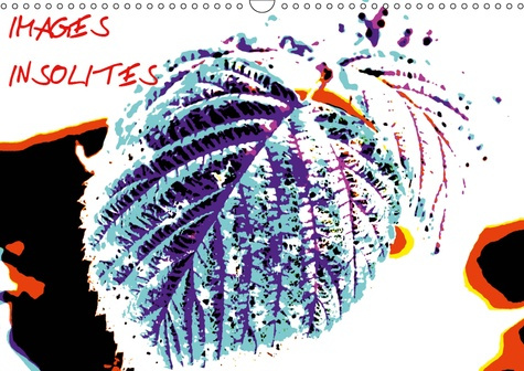 Emprunter IMAGES INSOLITES (CALENDRIER MURAL 2019 DIN A3 HORIZONTAL) - VOYAGE DANS UNE NATURE AUX COULEURS IMA livre