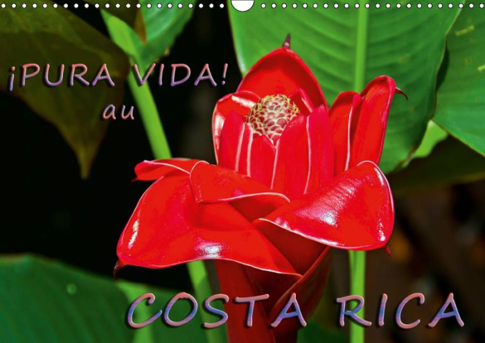 Emprunter PURA VIDA! AU COSTA RICA (CALENDRIER MURAL 2019 DIN A3 HORIZONTAL) - COSTA RICA - UN PAYS MERVEILL livre