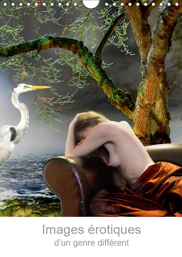 Emprunter IMAGES EROTIQUES D'UN GENRE DIFFERENT (CALENDRIER MURAL 2019 DIN A4 VERTICAL) - REVERIES POETIQUES E livre