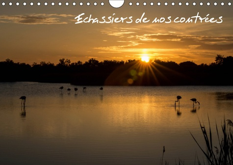 Emprunter ECHASSIERS DE NOS CONTREES (CALENDRIER MURAL 2019 DIN A4 HORIZONTAL) - DES OISEAUX EN PLEINE NATURE. livre