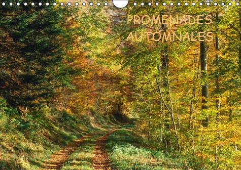 Emprunter PROMENADES AUTOMNALES (CALENDRIER MURAL 2019 DIN A4 HORIZONTAL) - UNE SAISON A NULLE AUTRE PAREILLE, livre