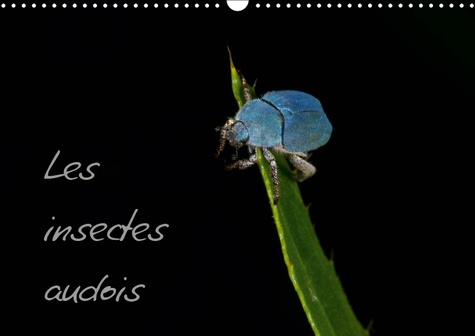 Emprunter LES INSECTES AUDOIS (CALENDRIER MURAL 2019 DIN A3 HORIZONTAL) - PHOTOGRAPHIES D'INSECTES DU DEPARTEM livre