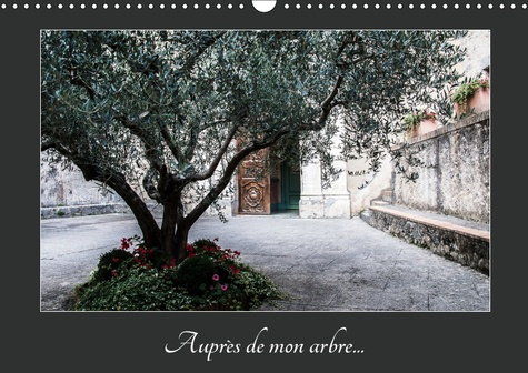 Emprunter AUPRES DE MON ARBRE (CALENDRIER MURAL 2019 DIN A3 HORIZONTAL) - AU TRAVERS DES SAISONS L'ARBRE ET SE livre
