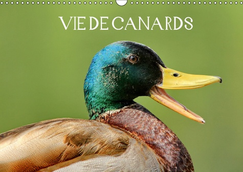 Emprunter VIE DE CANARDS (CALENDRIER MURAL 2019 DIN A3 HORIZONTAL) - CANARDS AUX MAGNIFIQUES COULEURS (CALENDR livre