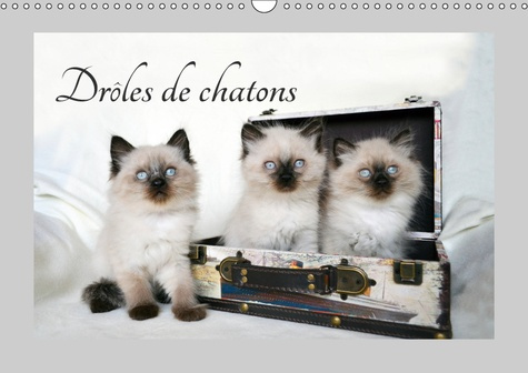 Emprunter DROLES DE CHATONS (CALENDRIER MURAL 2019 DIN A3 HORIZONTAL) - ILS VOUS DONNERONT LE SOURIRE (CALENDR livre