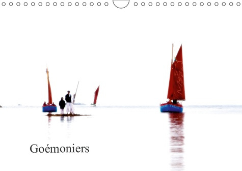 Emprunter GOEMONIERS (CALENDRIER MURAL 2019 DIN A4 HORIZONTAL) - LES VIEUX GREEMENTS ONT A NOUVEAU LA COTE AVE livre