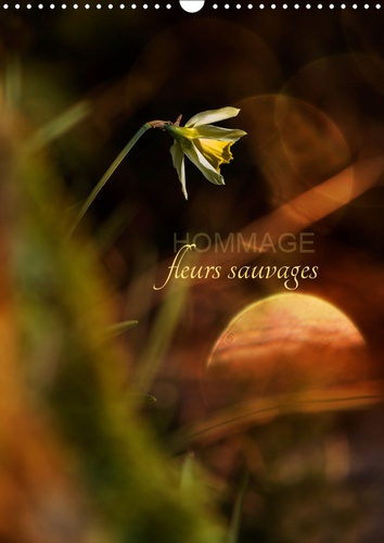 Emprunter HOMMAGE FLEURS SAUVAGES (CALENDRIER MURAL 2019 DIN A3 VERTICAL) - PETIT HOMMAGE AUX FLEURS DE NOS CA livre