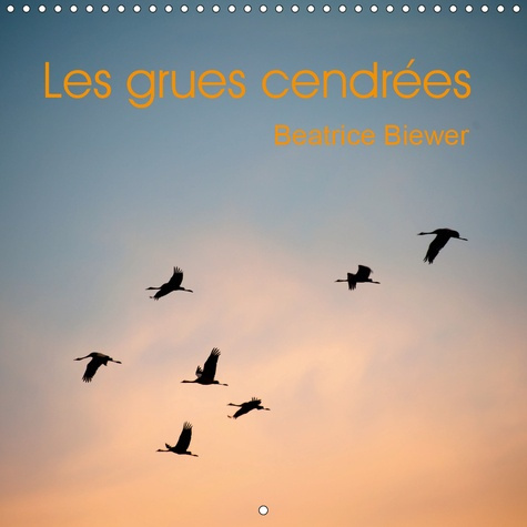 Emprunter LES GRUES CENDREES (CALENDRIER MURAL 2019 300 * 300 MM SQUARE) - LE VOL DES GRANDS MIGRATEURS (CALEN livre
