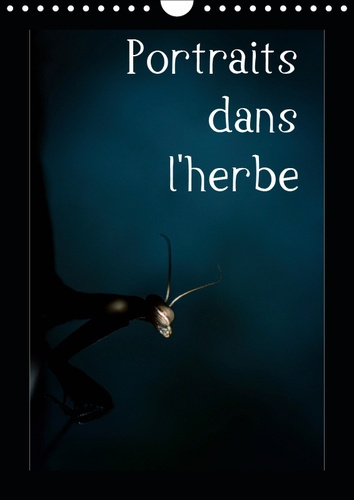 Emprunter PORTRAITS DANS L'HERBE (CALENDRIER MURAL 2019 DIN A4 VERTICAL) - PORTRAIT D'INSECTES DES PYRENEES DA livre
