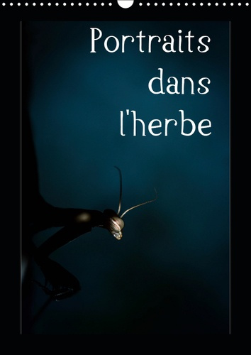 Emprunter PORTRAITS DANS L'HERBE (CALENDRIER MURAL 2019 DIN A3 VERTICAL) - PORTRAIT D'INSECTES DES PYRENEES DA livre