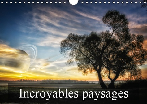 Emprunter INCROYABLES PAYSAGES (CALENDRIER MURAL 2019 DIN A4 HORIZONTAL) - PAYSAGES IMAGINAIRES (CALENDRIER ME livre