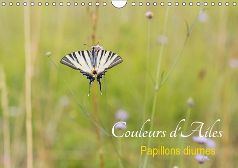 Emprunter COULEURS D'AILES (CALENDRIER MURAL 2019 DIN A4 HORIZONTAL) - PAPILLONS DIURNES (CALENDRIER MENSUEL, livre