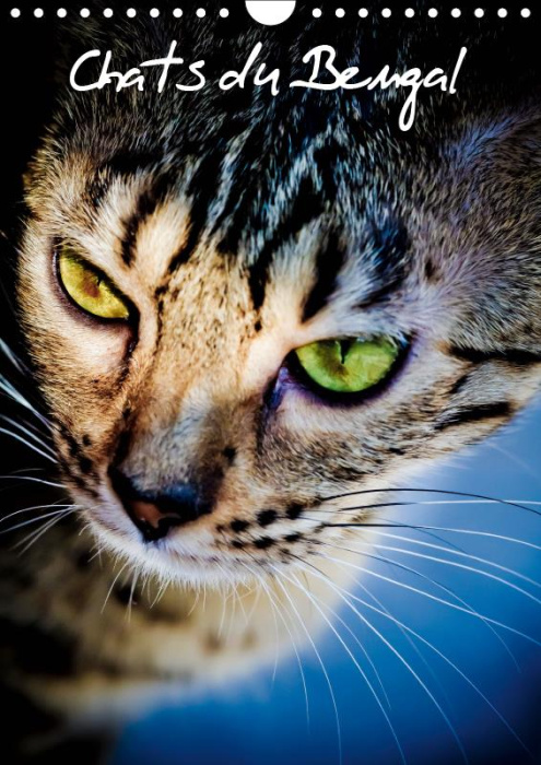 Emprunter CHATS DU BENGAL (CALENDRIER MURAL 2019 DIN A4 VERTICAL) - CHATONS DU BENGAL ET LEUR MAMAN (CALENDRIE livre