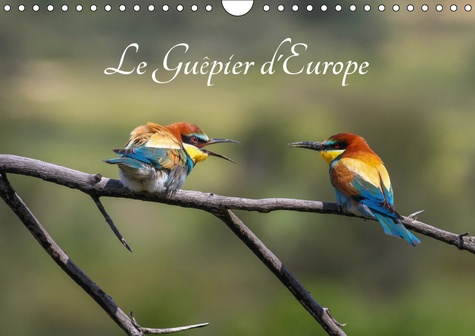 Emprunter LE GUEPIER D'EUROPE - MEROPS APIASTER (CALENDRIER MURAL 2019 DIN A4 HORIZONTAL) - DECOUVREZ CHAQUE M livre