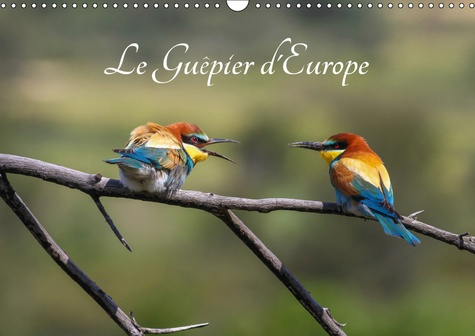 Emprunter LE GUEPIER D'EUROPE - MEROPS APIASTER (CALENDRIER MURAL 2019 DIN A3 HORIZONTAL) - DECOUVREZ CHAQUE M livre
