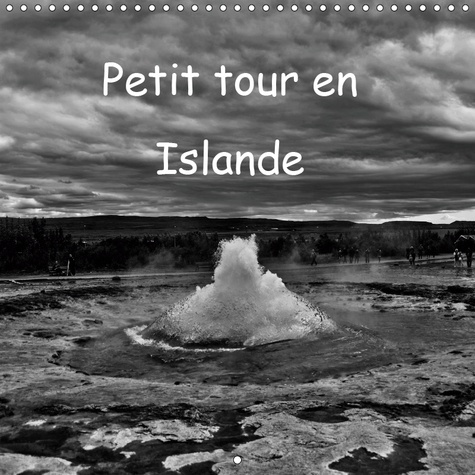 Emprunter PETIT TOUR EN ISLANDE (CALENDRIER MURAL 2019 300 * 300 MM SQUARE) - SOUVENIRS D'UN ROADTRIP EN ISLAN livre