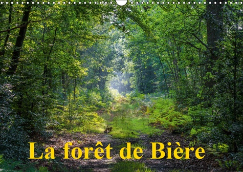 Emprunter LA FORET DE BIERE (CALENDRIER MURAL 2019 DIN A3 HORIZONTAL) - PAYSAGES DE LA FORET DE FONTAINEBLEAU livre