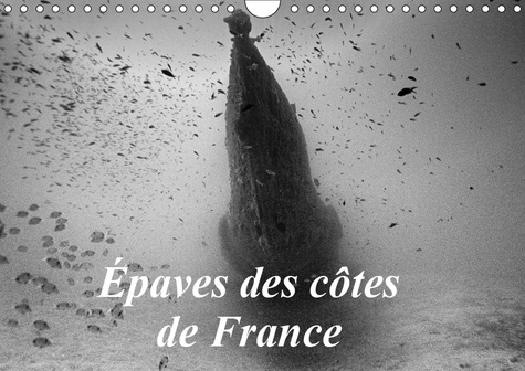 Emprunter EPAVES DES COTES DE FRANCE (CALENDRIER MURAL 2019 DIN A4 HORIZONTAL) - PHOTOS D'EPAVES DE BATEAUX CO livre