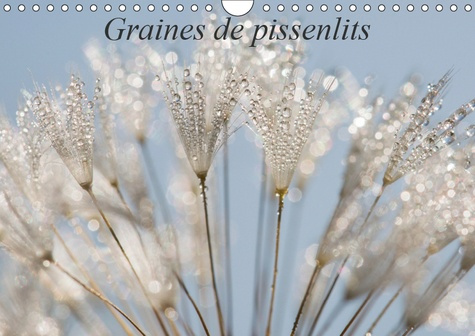 Emprunter GRAINES DE PISSENLITS (CALENDRIER MURAL 2019 DIN A4 HORIZONTAL) - PHOTOS MACRO DE GRAINES DE PISSENL livre