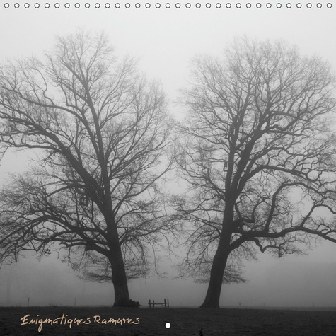 Emprunter ENIGMATIQUES RAMURES (CALENDRIER MURAL 2019 300 * 300 MM SQUARE) - A LA RENCONTRE DES ARBRES AUX RAM livre