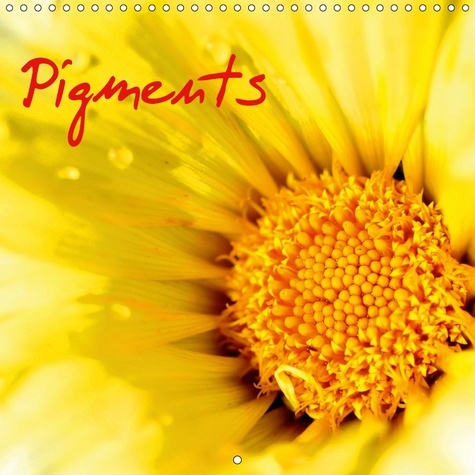 Emprunter PIGMENTS (CALENDRIER MURAL 2019 300 * 300 MM SQUARE) - MACRO DE FLEURS (CALENDRIER MENSUEL, 14 PAGES livre