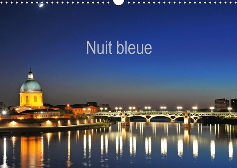 Emprunter NUIT BLEUE (CALENDRIER MURAL 2019 DIN A3 HORIZONTAL) - MONUMENTS DE NUIT (CALENDRIER MENSUEL, 14 PAG livre