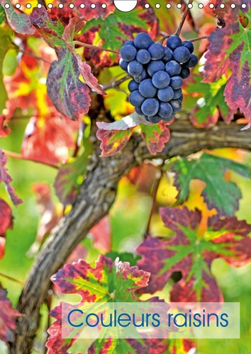 Emprunter COULEURS RAISINS (CALENDRIER MURAL 2019 DIN A4 VERTICAL) - GRAPPES DE RAISINS (CALENDRIER MENSUEL, 1 livre