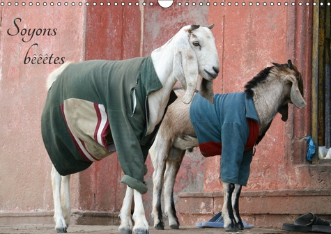 Emprunter SOYONS BEEETES (CALENDRIER MURAL 2019 DIN A3 HORIZONTAL) - SOYONS BEEETES - VOYAGE ANIMALIER (CALEND livre