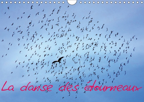 Emprunter LA DANSE DES ETOURNEAUX (CALENDRIER MURAL 2019 DIN A4 HORIZONTAL) - LA MIGRATION DES ETOURNEAUX (CAL livre