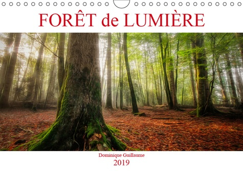 Emprunter FORET DE LUMIERE (CALENDRIER MURAL 2019 DIN A4 HORIZONTAL) - MAGIE DE L'OMBRE ET DE LA LUMIERE AU CO livre