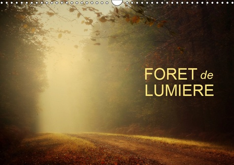 Emprunter FORET DE LUMIERE (CALENDRIER MURAL 2019 DIN A3 HORIZONTAL) - MAGIE DE L'OMBRE ET DE LA LUMIERE AU CO livre