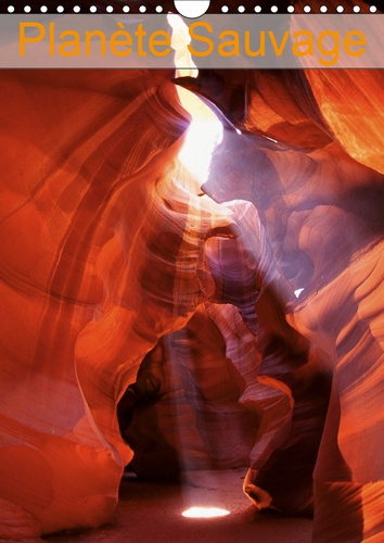 Emprunter PLANETE SAUVAGE (CALENDRIER MURAL 2019 DIN A4 VERTICAL) - CHEMINEMENT EN IMAGES VERS UNE FORME DE JO livre