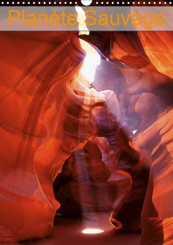 Emprunter PLANETE SAUVAGE (CALENDRIER MURAL 2019 DIN A3 VERTICAL) - CHEMINEMENT EN IMAGES VERS UNE FORME DE JO livre