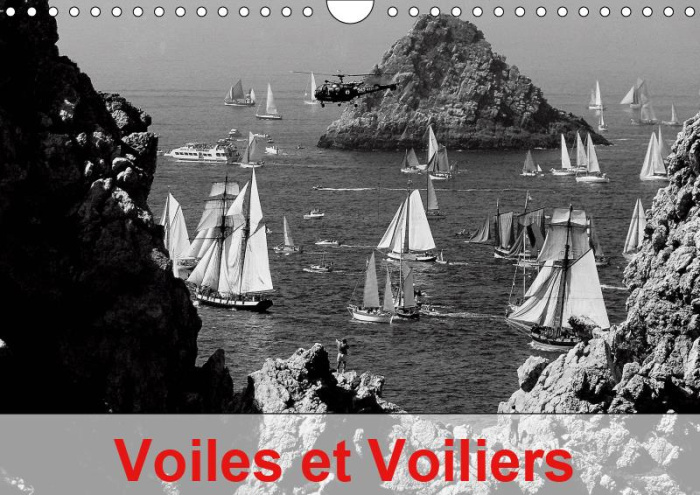 Emprunter VOILES ET VOILIERS (CALENDRIER MURAL 2019 DIN A4 HORIZONTAL) - LES GRANDS VOILIERS POSSEDENT UN CHAR livre
