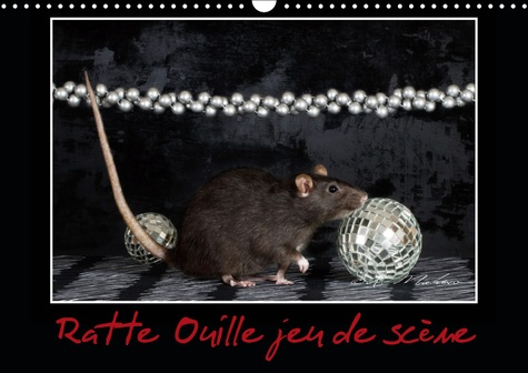 Emprunter RATTE OUILLE JEU DE SCENE (CALENDRIER MURAL 2019 DIN A3 HORIZONTAL) - PETITE RATTE EN SPECTACLE. (CA livre
