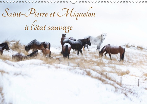 Emprunter SAINT-PIERRE ET MIQUELON A L'ETAT SAUVAGE (CALENDRIER MURAL 2019 DIN A3 HORIZONTAL) - UN PETIT BOUT livre