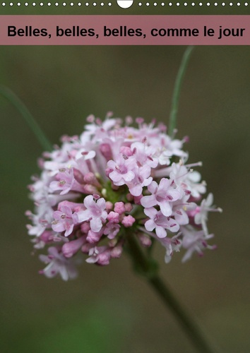 Emprunter BELLES, BELLES, BELLES, COMME LE JOUR (CALENDRIER MURAL 2019 DIN A3 VERTICAL) - QUELLES SONT BELLES livre